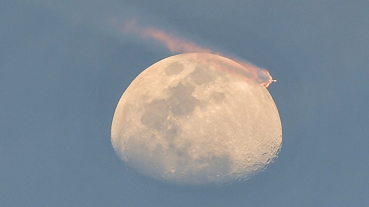 SpaceX rocket crosses moon, thousands of horseshoe crabs