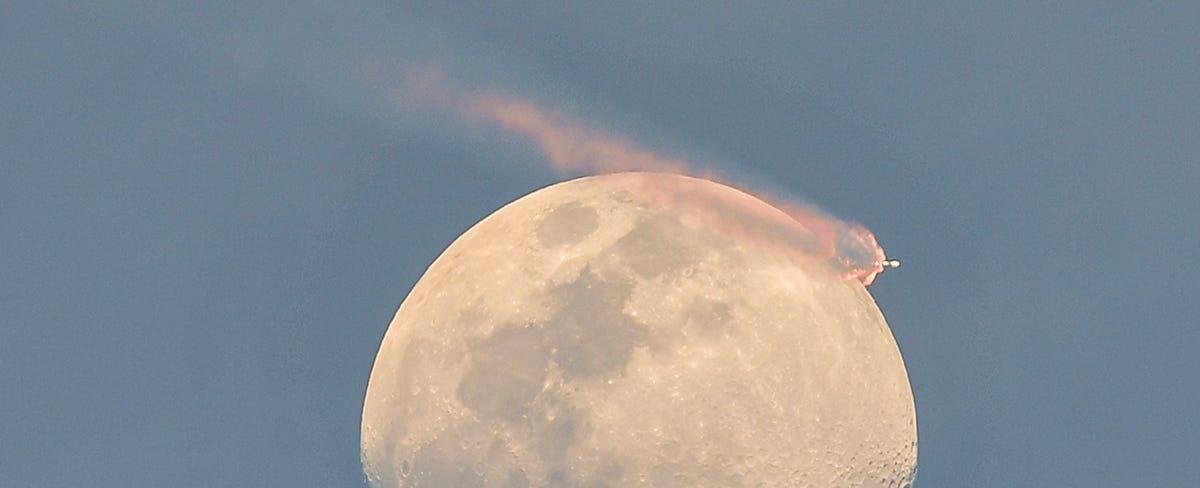 SpaceX rocket crosses moon, thousands of horseshoe crabs