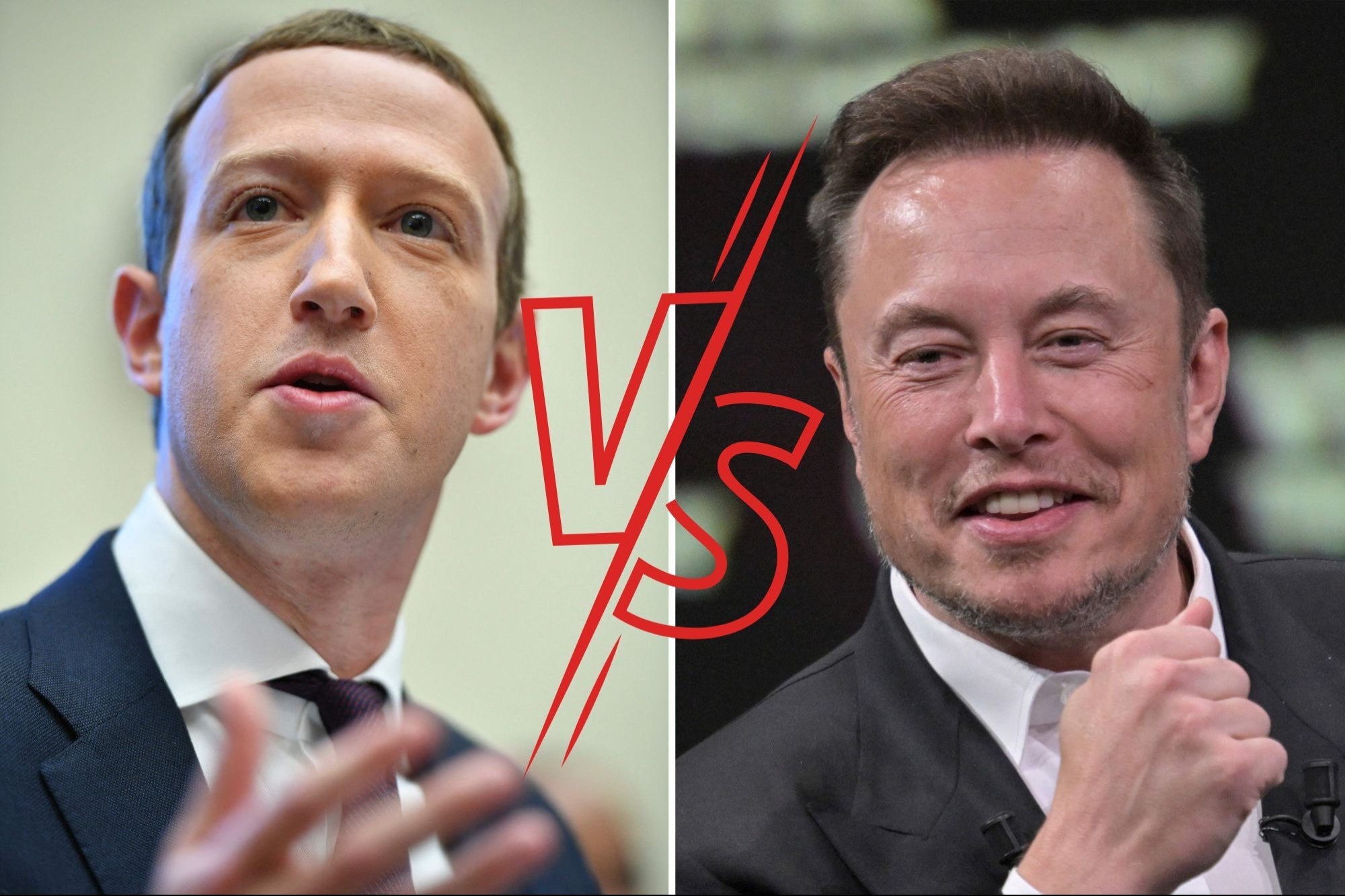 Elon Musk, Mark Zuckerberg Spar on Twitter, Suggest Cage Fight | Entrepreneur