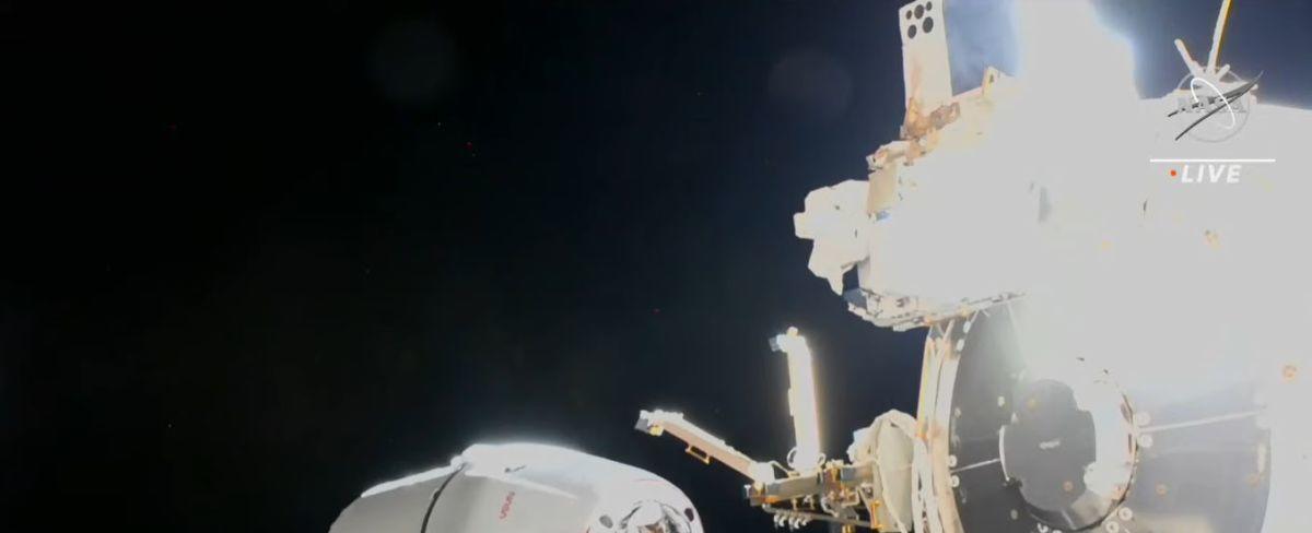 SpaceX Dragon cargo ship arrives at space station with NASA supplies
