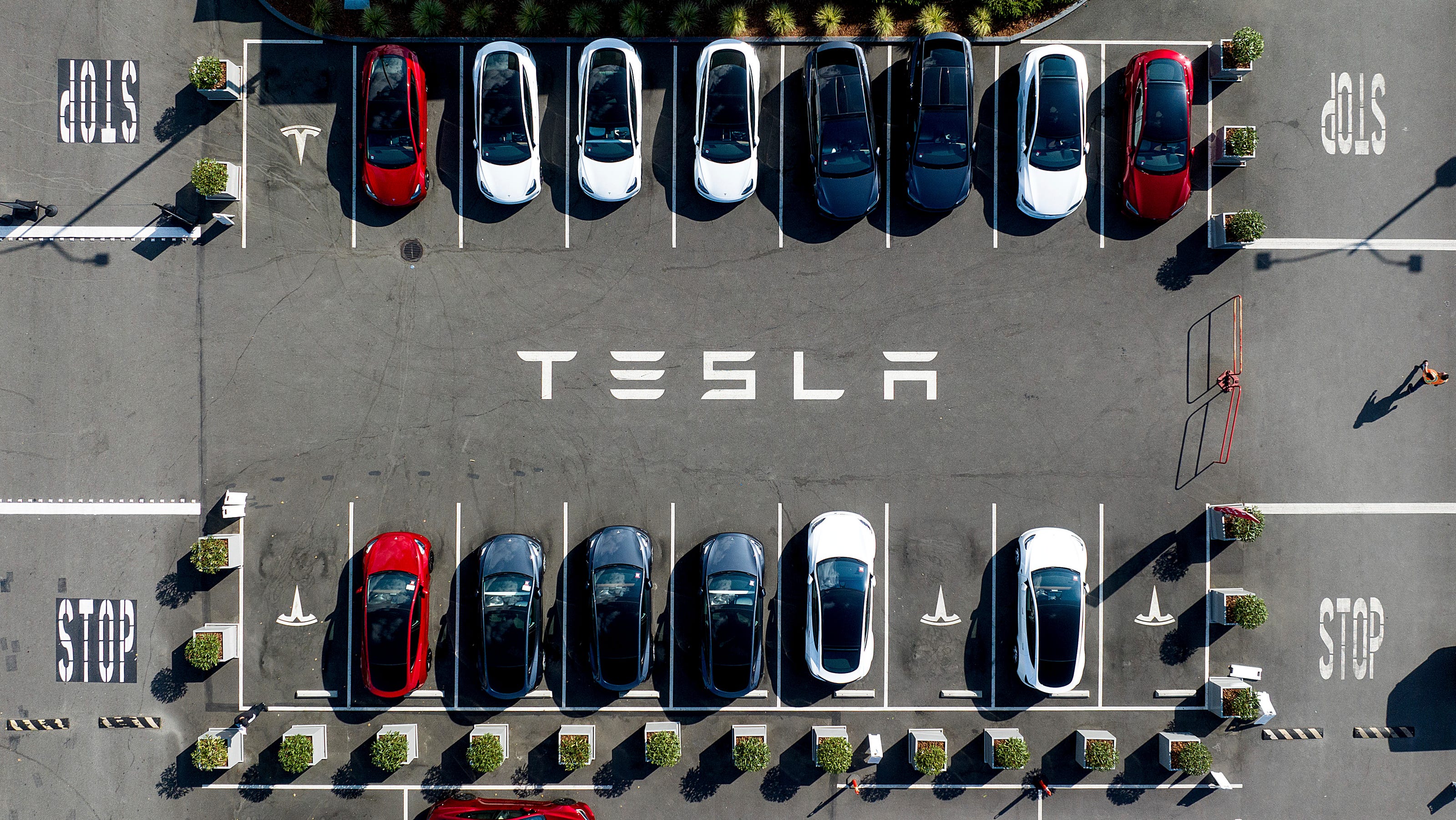 Tesla sues Swedish agency as striking workers halt delivery of license plates of its new vehicles