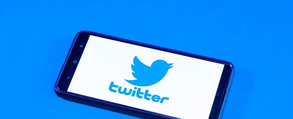 Elon Musk Says Twitter Will Purge Inactive Accounts, Which Could Give You the Handle You've Always Wanted