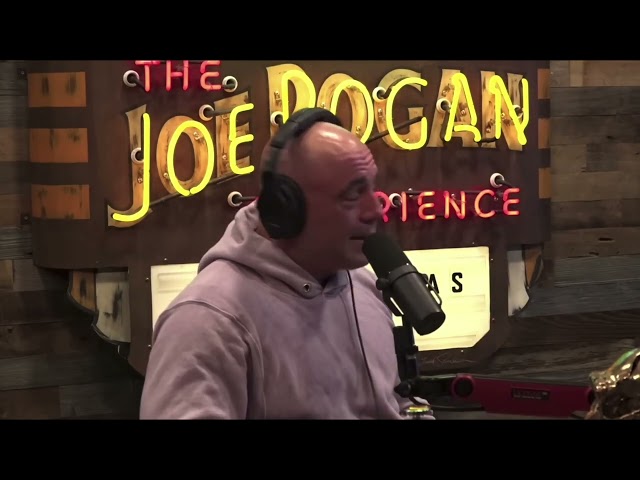 Tesla Celebrity Endorsement: Joe Rogan Cybertruck