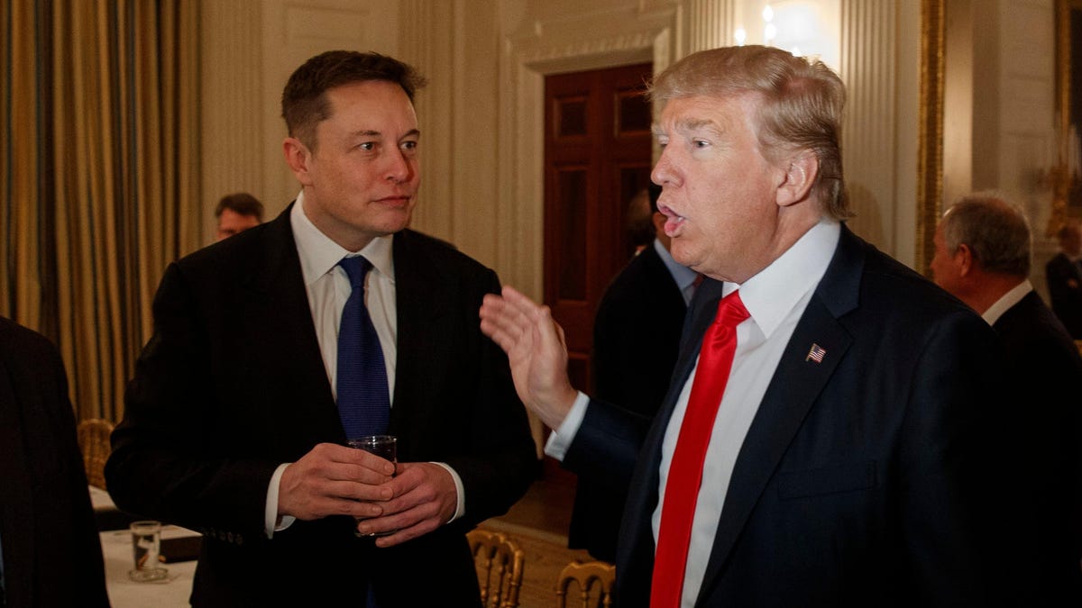 Elon Musk Meets With Donald Trump In Florida As 2024 Election Looms: Report