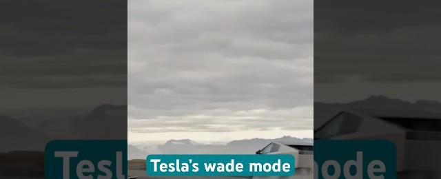 Tesla claims that the Cybertruck can through water thanks to wade mode. #tesla #elonmusk #ev