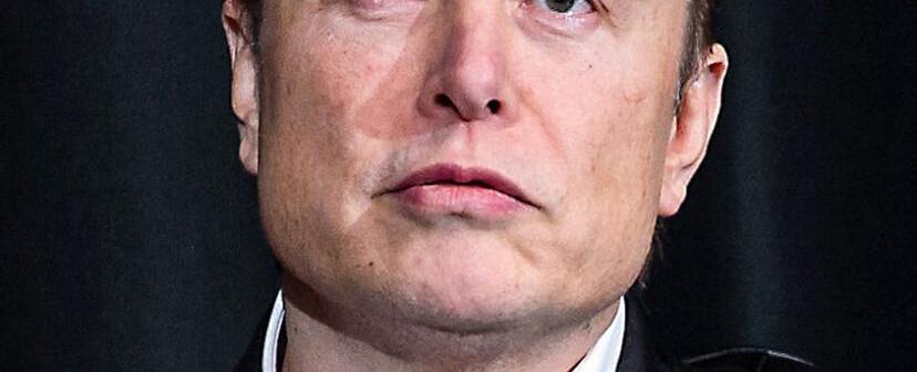 Elon Musk's First Human Neuralink Patient Says He Was Assured 'No Monkey Has Died As A Result Of A Neuralink Implant'