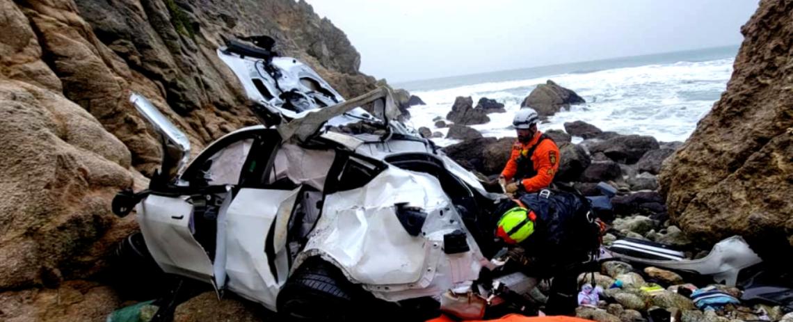 Dharmesh Patel medical license suspended after Tesla crash, records show