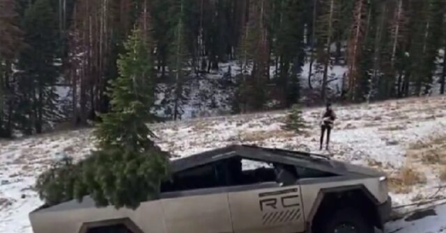 Gas-Powered Savior: Tesla Cybertruck with Christmas Tree Gets Stuck in Snow, Is Rescued by Ford Truck