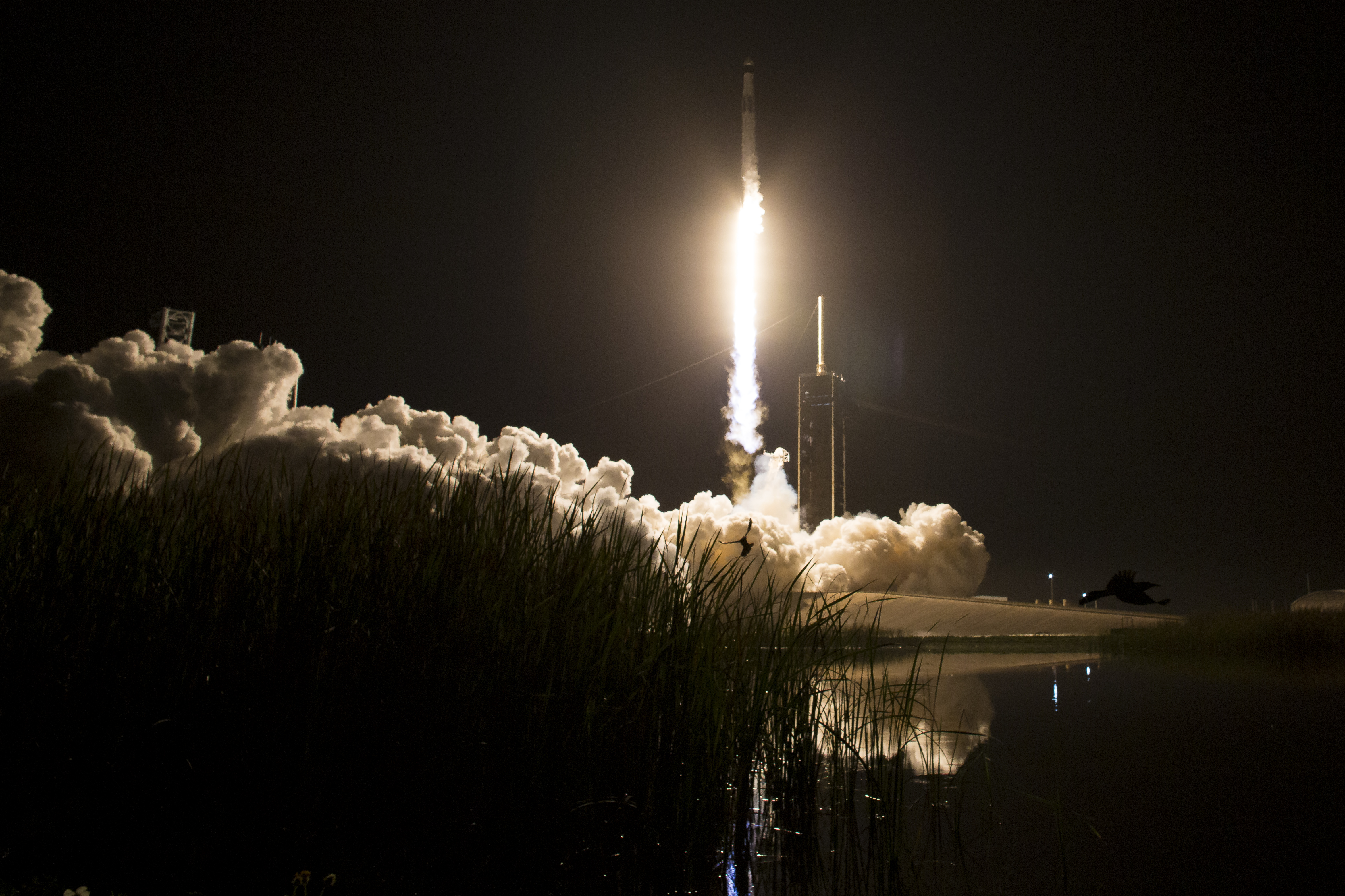 NASA’s SpaceX Crew-8 Launches to International Space Station - NASA