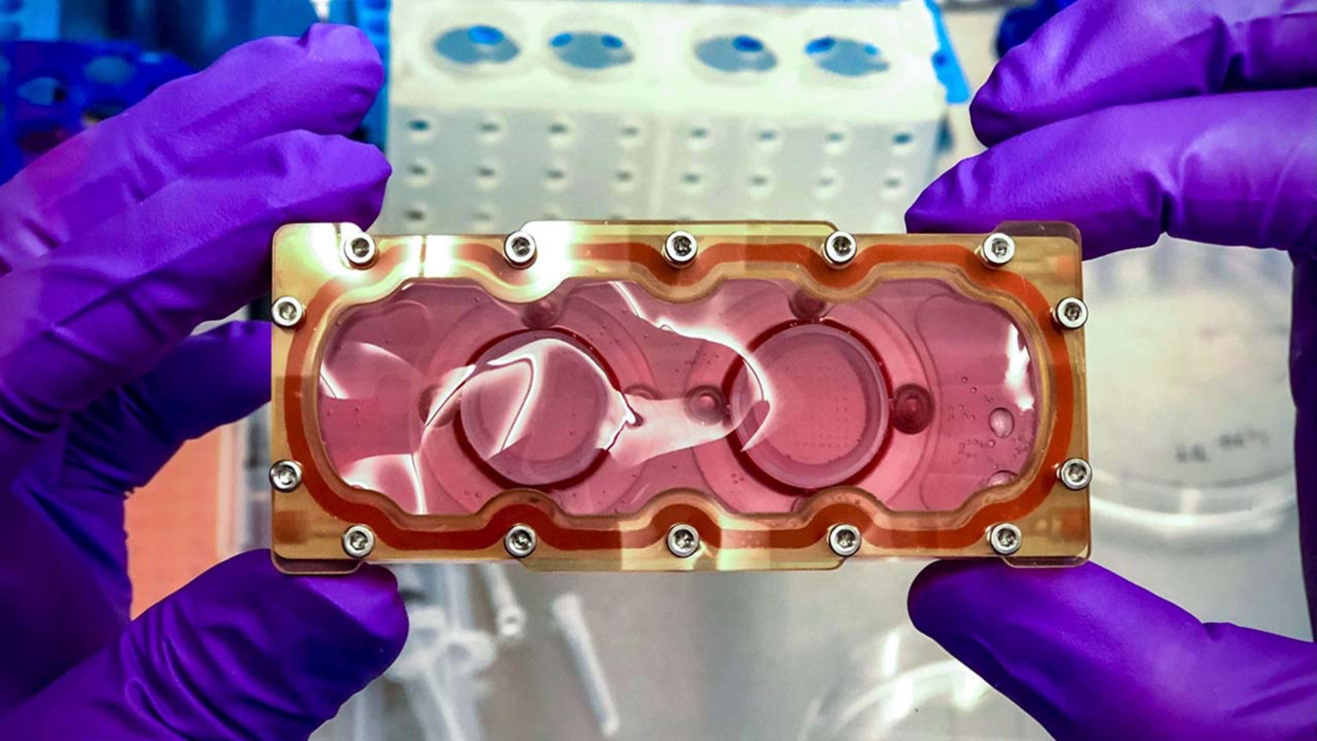 SpaceX's Dragon set to deliver beating human heart tissue to the ISS