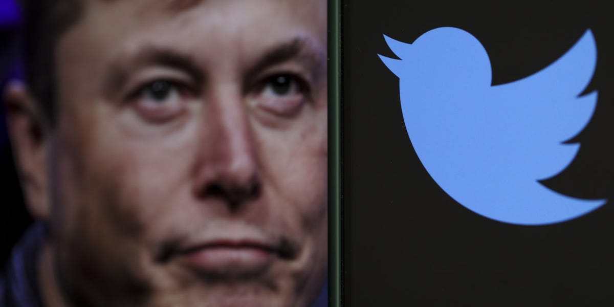 Grieving Relatives Blast Elon Musk for Removing Dormant Twitter Accounts