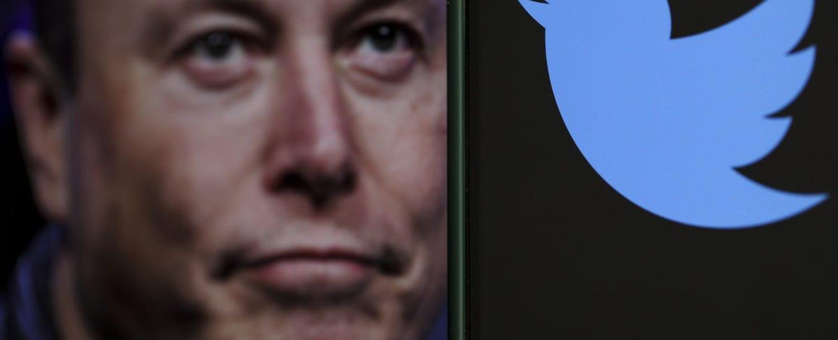 Grieving Relatives Blast Elon Musk for Removing Dormant Twitter Accounts