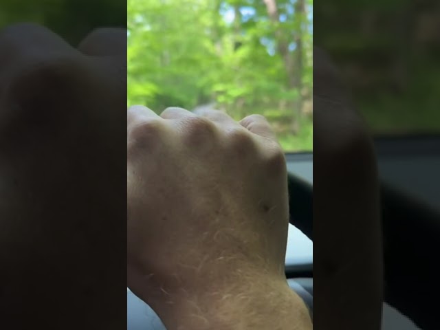 Tesla Navigation thinks I’m driving a Cybertruck 😭😭😭