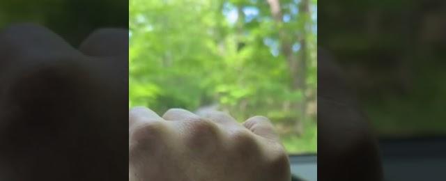 Tesla Navigation thinks I’m driving a Cybertruck 😭😭😭