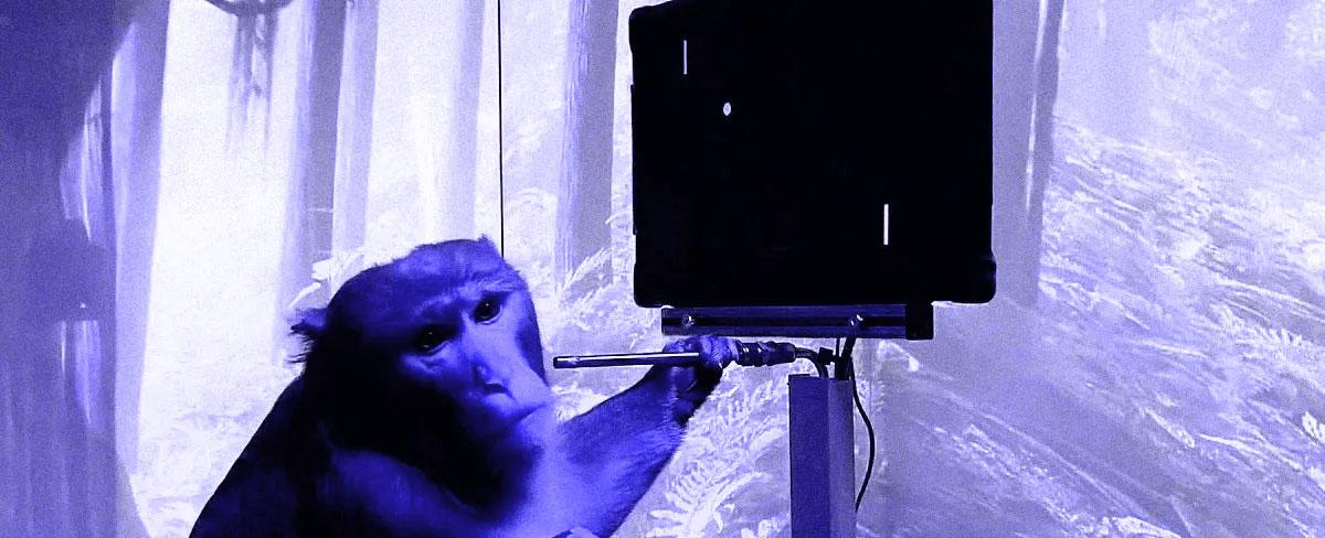 Elon Musk Claims Neuralink Already Allowing Blind Monkeys to See Again