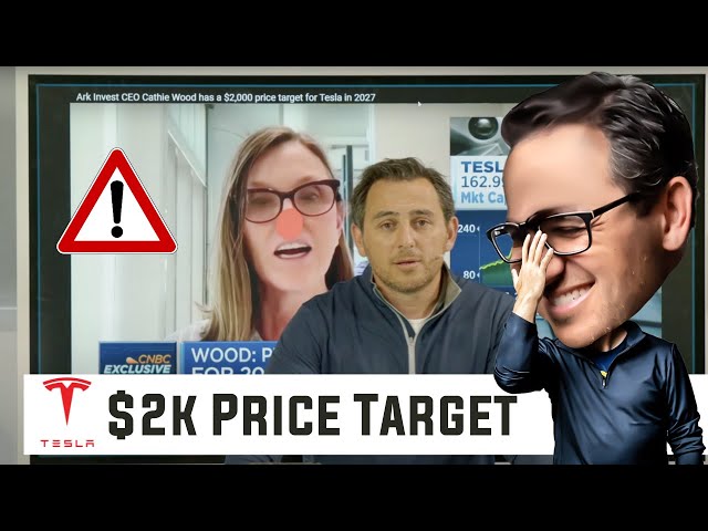 Why Tesla won’t reach $2000 a share | Cathie Wood Reaction
