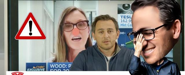 Why Tesla won’t reach $2000 a share | Cathie Wood Reaction