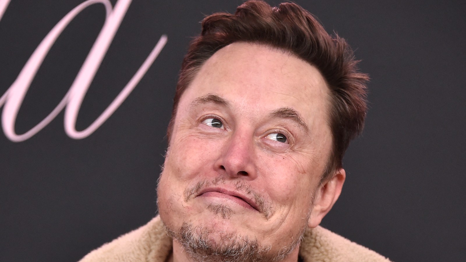 Elon Musk Restores Blue Checks on Twitter for Popular Users