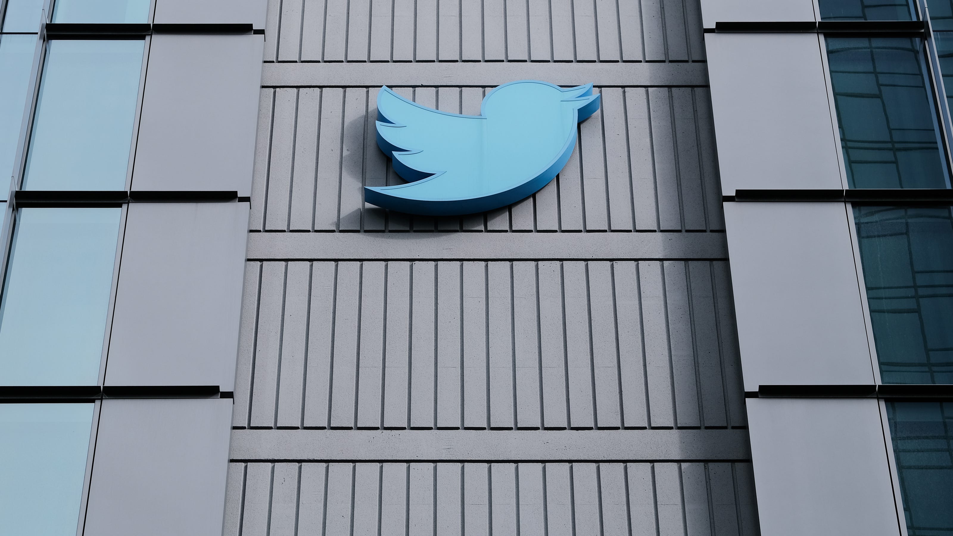 Twitter executive responsible for content safety resigns after Elon Musk criticism