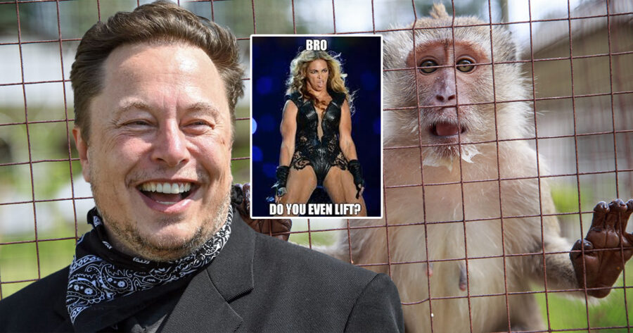 Elon Musk Unveils Neuralink Project to Implant 2013 Meme Directly Into Primate’s Brain
