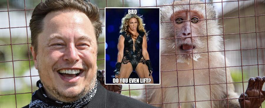 Elon Musk Unveils Neuralink Project to Implant 2013 Meme Directly Into Primate’s Brain