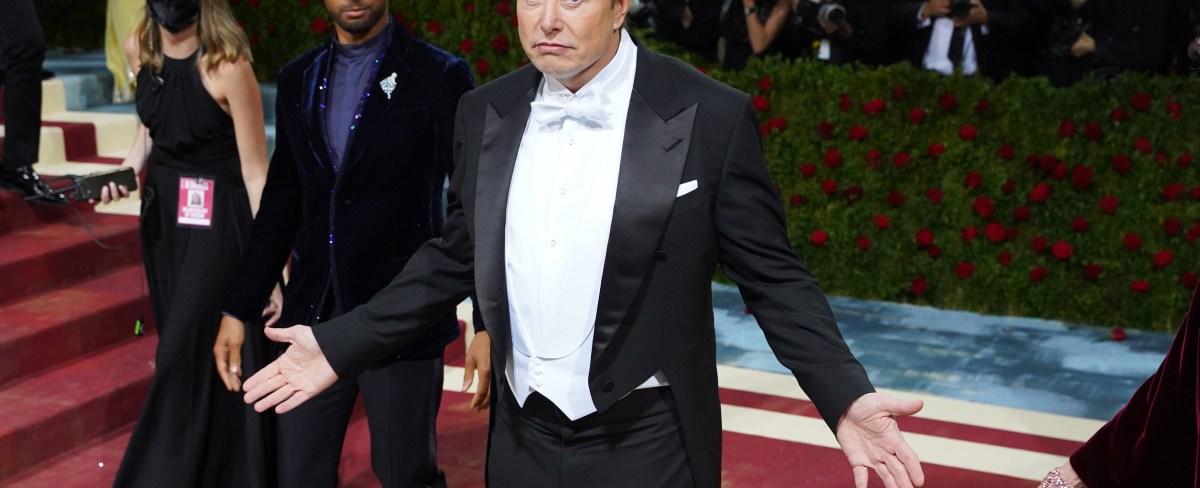 Elon Musk backs new EU digital content law that risks Twitter free speech