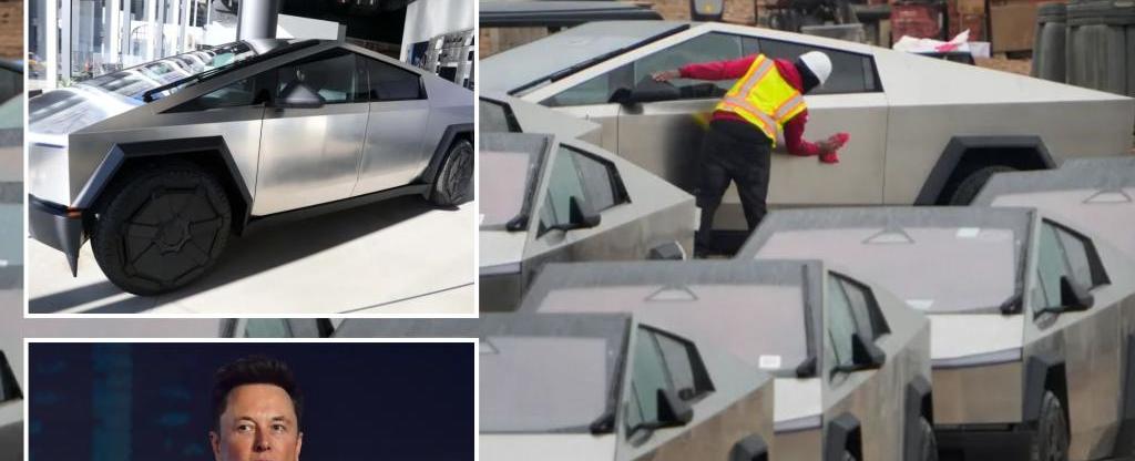 Tesla Cybertruck manual: 'immediately remove' bird poop, dead bugs