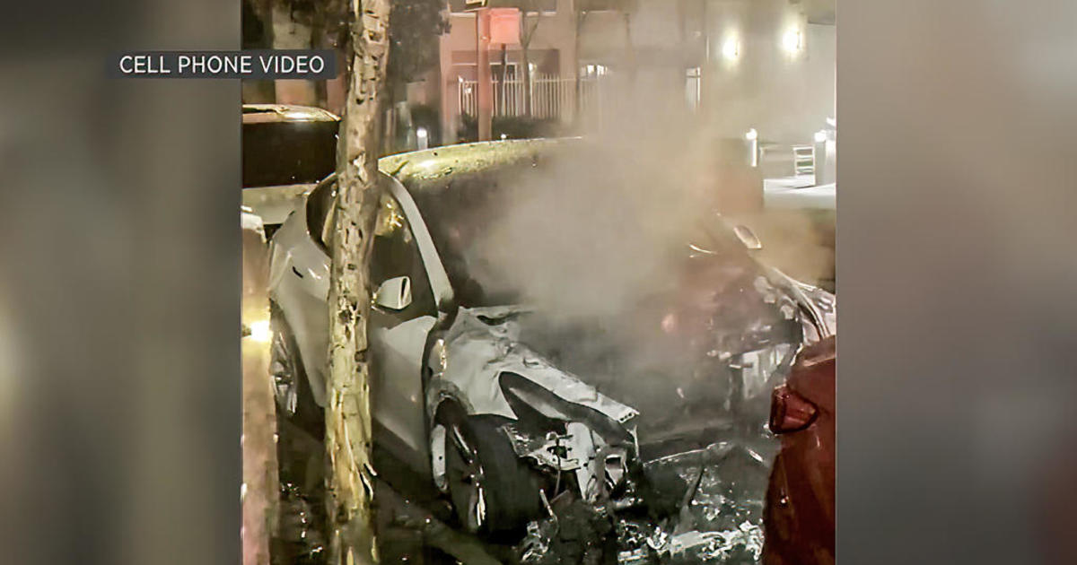 Tesla arsonist in San Francisco caught on camera