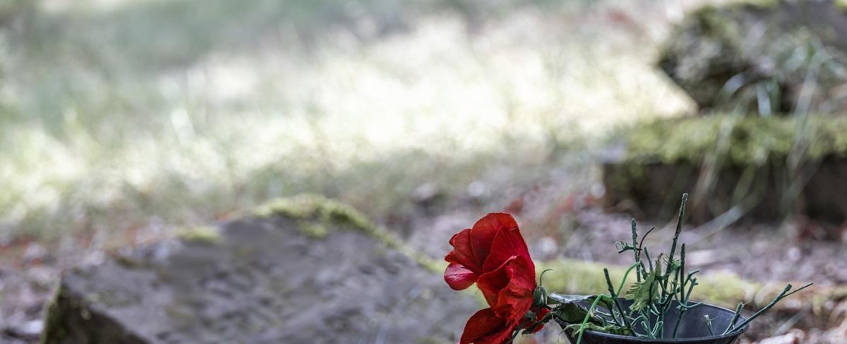 Elon Musk Says Twitter Will Purge the Accounts of Dead People