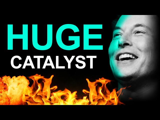 Cybertruck Under Appreciated, Tesla To Lead Tech Stocks: Bull