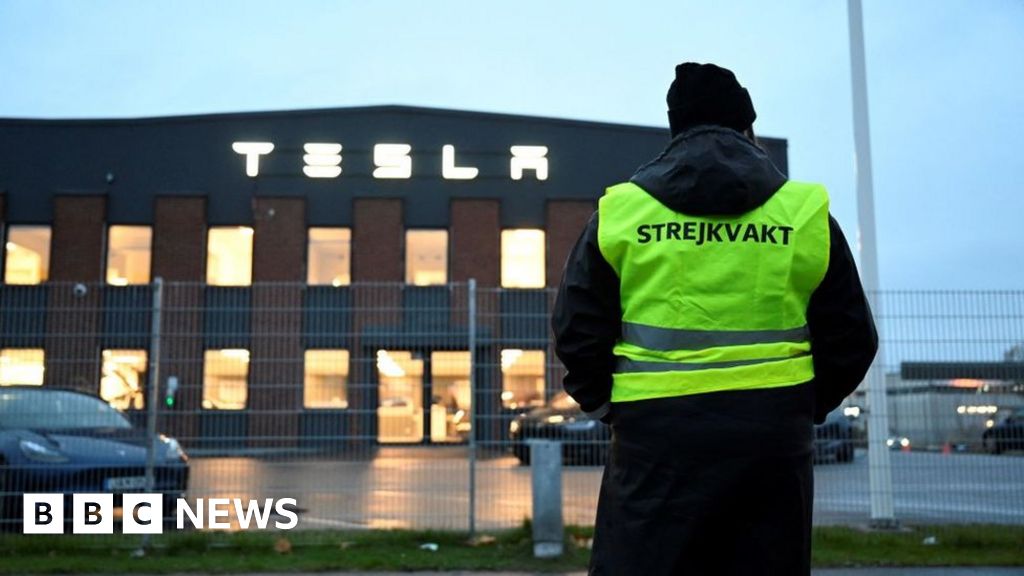 Tesla sues Sweden as strikes target carmaker