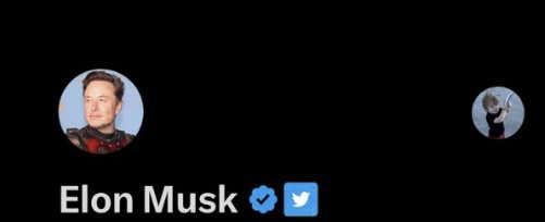 It Appears Elon Musk Accidentally Revealed His Twitter Burner Account
