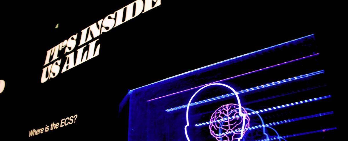 Neuralink de Elon Musk recibe el visto bueno para probar un implante cerebral en humanos | Digital Trends Español