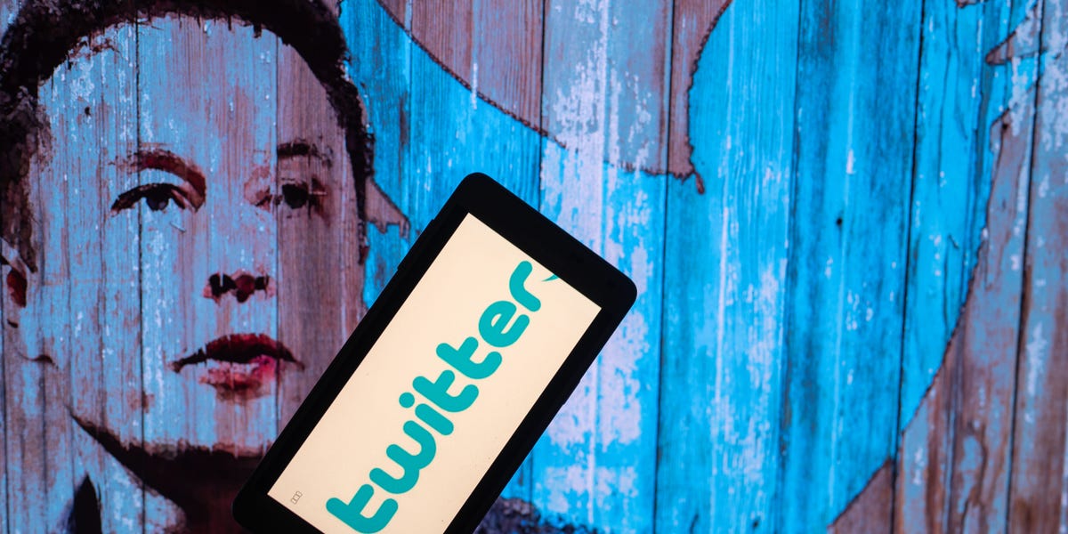 Experts Have Doubts About Elon Musk Turning Twitter Into a Super App