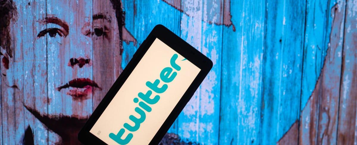 Experts Have Doubts About Elon Musk Turning Twitter Into a Super App