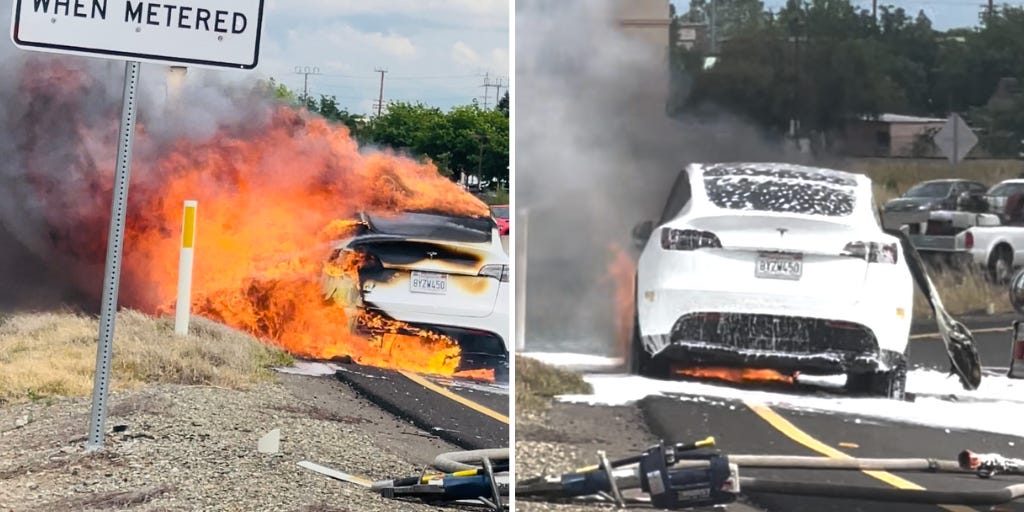 Man Whose Tesla Caught Fire Said Customer Service Gave Strange Advice