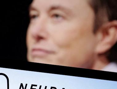 Elon Musk startup Neuralink's animal-testing panel rife with conflicts