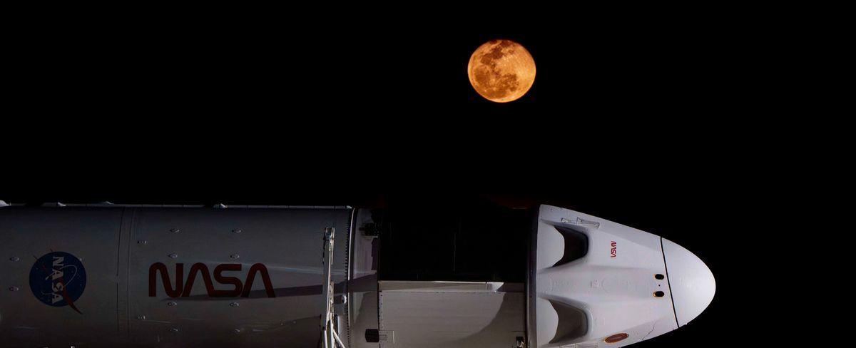SpaceX rolls out rocket, capsule for Crew-8 astronaut launch (photos)