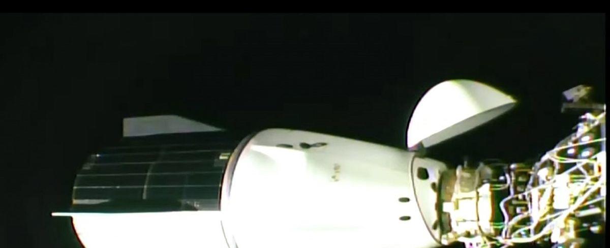 SpaceX's Crew-8 Dragon capsule docks at the ISS