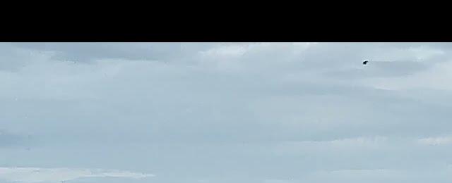 Watch the SpaceX Falcon 9 Dragon capsule launch and landing from your own camera