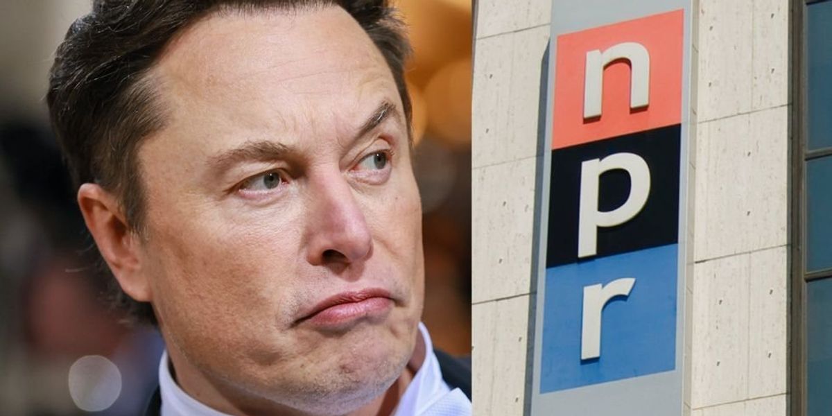 Elon Musk threatens to give NPR's Twitter account to another company, then responds after NPR reports it: 'You Suck'