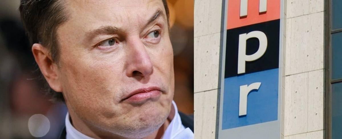 Elon Musk threatens to give NPR's Twitter account to another company, then responds after NPR reports it: 'You Suck'