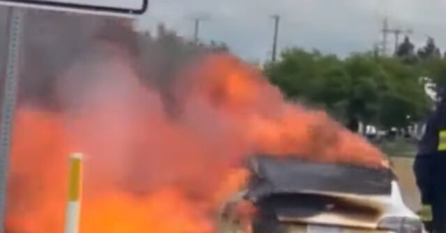 'So Lucky to Be Alive:' California Man Narrowly Escapes as His Tesla Catches Fire on Highway