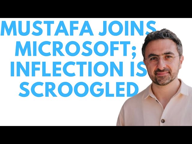 Why OpenAI and DeepMind Did Not Want Elon Musk In Charge. Mustafa New AI CEO at Microsoft