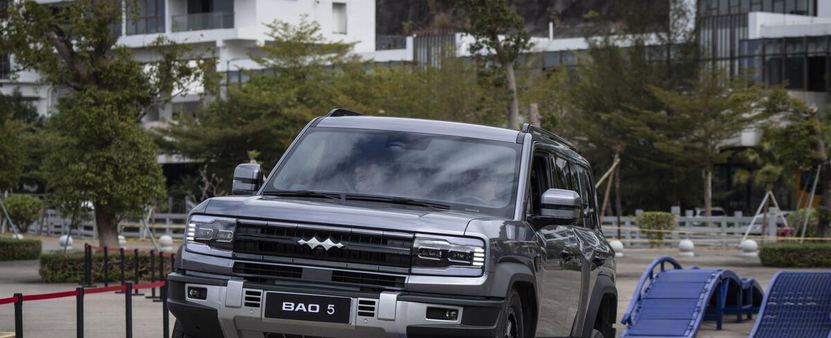 BYD Sales Executive Stokes Musk Rivalry Just Ahead of Tesla Earnings