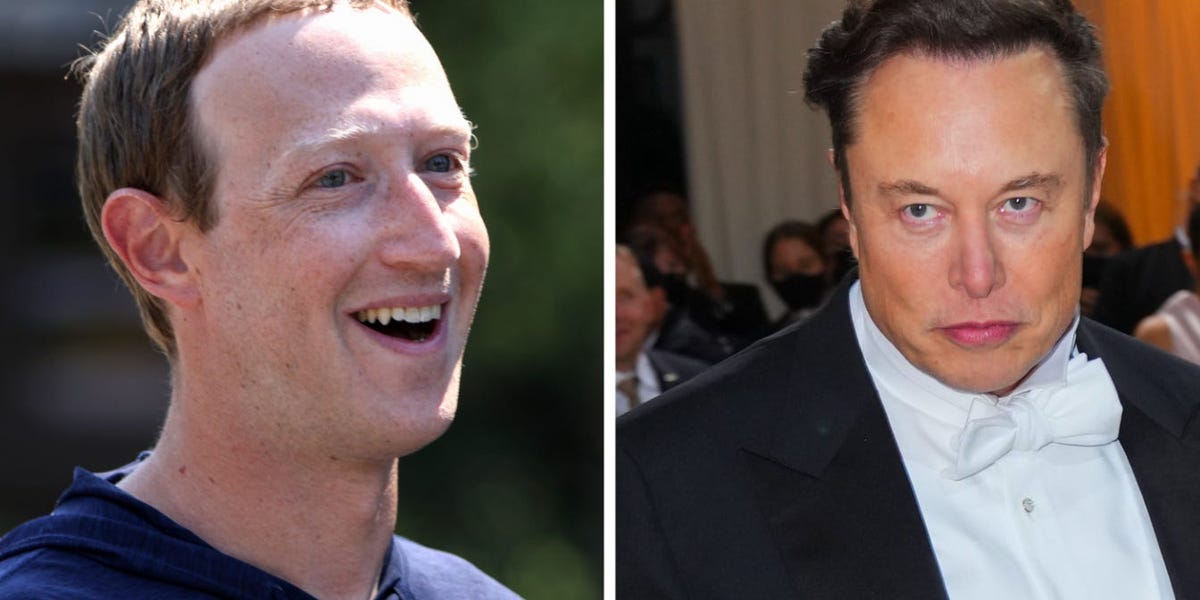 Meta Exec Taunts Elon Musk With 'Sanely Run' Twitter Competitor