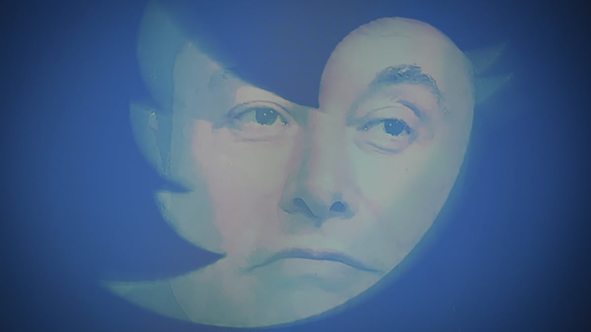 Twitter is now worth one-third what Elon Musk paid