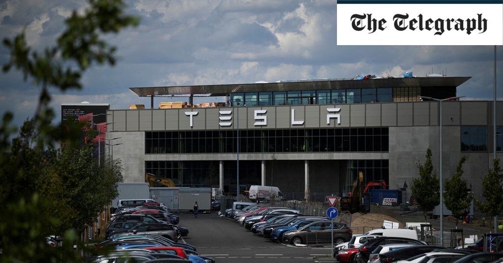 Musk accused of polluting German rivers with Tesla gigafactory