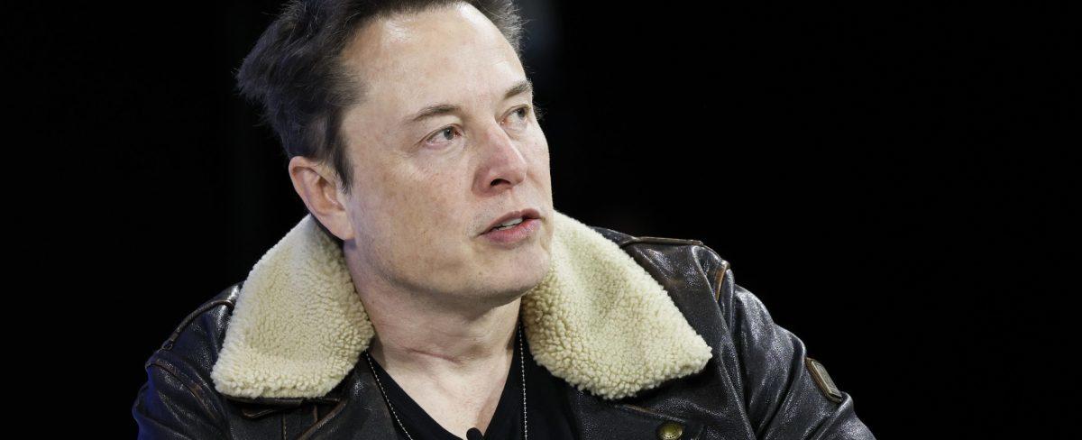 Elon Musk says Neuralink is 'paradise' that has never caused the death of a monkey