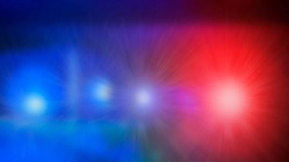 3 dead after car veers off SH 130 onto Tesla Road